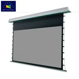Xy Fabriek 100 "Intelligente Elektrische Gemotoriseerde Ust Projector Grey Screen In Plafond Voor Living/Trainning/Vergadering kamer
