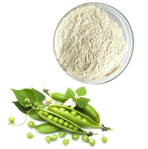 Polvo aislado de proteína de haba suministro de fábrica ISO - Product Image 1