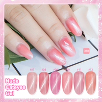 BD Hema Free 12 Couleurs Magnétique Gel Polonais Uv Led Durci Oem Odm Disponible Nude Jade Cats Eye Gel Polonais TPO Gratuit