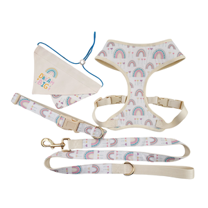 Personal isierte niedliche Regenbogen Druck Designer Farbkontrast Hund Bandana Hunde geschirr Halsband und Leine Set mit benutzer definierten Druck - Product Image 4