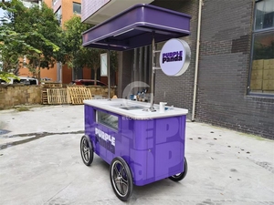 Mini-chariot mobile de vente de desserts glacés pour parcs et plages – Remorque alimentaire pour entreprise de restauration - Product Image 4