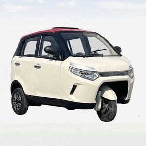 Vente en gros d'usine, scooter électrique tricycle, 2000W 3000W, vélo électrique tricycle, <span class=keywords><strong>taxi</strong></span> tricycle, tricycle pousse-pousse - Product Image 3