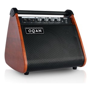 Amplificador de Batería SK 50 Black y Wood 65W - Product Image 1
