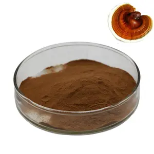 Ganoderma Lucidum GMP Certificated 100% organic Reishi Mushroom Lingzhi Spore Powder