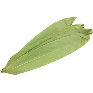 Wholesale Bamboo Leaves Dry Bamboo Leaf Bamboo Leaf