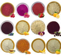 Poudre de fruits mélangés pour boisson, saveurs fraise, myrtille, mangue et citron, fournie directement par l'usine