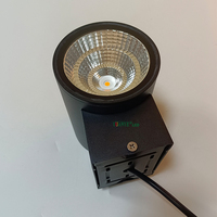 Applique murale extérieure LED de Noël RGB/RBGW étanche haute puissance avec télécommande WiFi