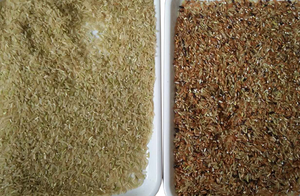 WENYAO OEM ODM trieur de couleur de riz à LED professionnel tri de couleur moulin à riz <span class=keywords><strong>Prix</strong></span> usine en stock quantité minimale de commande 1 <span class=keywords><strong>PC</strong></span> - Product Image 6