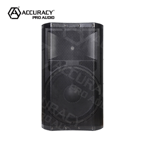 Accuracy Pro AudioCAN10AOH 100W fiesta <span class=keywords><strong>DJ</strong></span> karaoke amplificador digital profesión altavoz de potencia activa sistema de audio caja de sonido de CH - Product Image 1