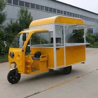 Tricycle Mobile Food Truck Chariots Popsicle Hot Dog Taco Limonade Grills Fast Snack Food Chariots