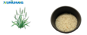 थोक थोक उच्च गुणवत्ता <span class=keywords><strong>Psyllium</strong></span> भूसी 98%/<span class=keywords><strong>Psyllium</strong></span> बीज भूसी - Product Image 3