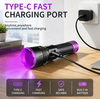 Lampe torche UV rechargeable Type-C puissante 20W, durable, lumière UV violette 365nm pour séchage d'encre et détection fluorescente de billets