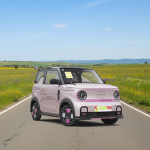 Auto Elettrica Geely <span class=keywords><strong>Panda</strong></span> Mini EV Versione Knight 210KM, <span class=keywords><strong>Serie</strong></span> Completa Geely <span class=keywords><strong>Panda</strong></span>, <span class=keywords><strong>3</strong></span> Porte, 4 Posti, Hatchback, Auto Elettrica Pura, Marca Cinese - Product Image 1