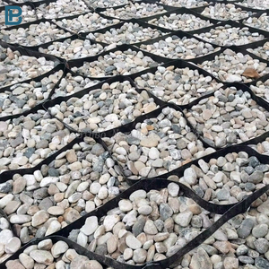 Extérieur PP Matériel HDPE Geocell 20-50mm Hauteur Allée Prix <span class=keywords><strong>Sol</strong></span> Grille <span class=keywords><strong>Nid</strong></span> <span class=keywords><strong>D</strong></span>'<span class=keywords><strong>abeille</strong></span> <span class=keywords><strong>Gravier</strong></span> Geo Cell Route Grille pour <span class=keywords><strong>Gravier</strong></span> - Product Image 5