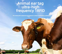 Étiquette d'oreille RFID UHF pour animaux, étiquette de traçabilité du bétail en TPU, étanche IP67, durable, codage personnalisable, portée de 10 m