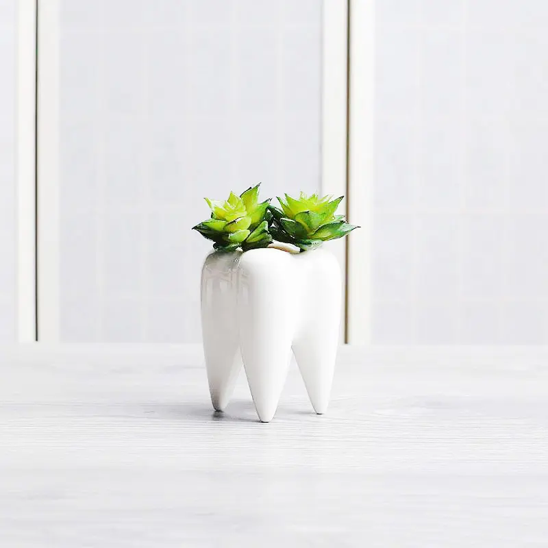 Maceta pequeña de cerámica para interior, maceta para suculentas con forma inusuales, minimacetero blanco esmaltado para decoración de bonsái, P355