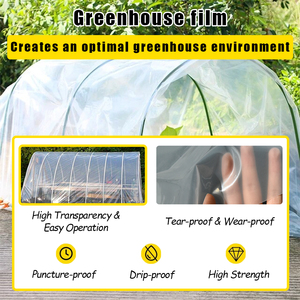Serre de Jardin Transparente en LDPE à Couche Unique Grande Taille, Vente Directe Usine, Couleur Personnalisée, Certifiée ISO9001, Design Attrayant - Product Image 3