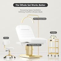 La table de message de lit facial électrique de lit de beauté de spa de salon de chauffage à un bouton inclut le design moderne blanc avec la lumière d'ambiance