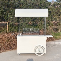 Chariot de Vente Ambulant pour Glaces de Festival avec Congélateur Intégré – Idéal pour la Restauration Extérieure