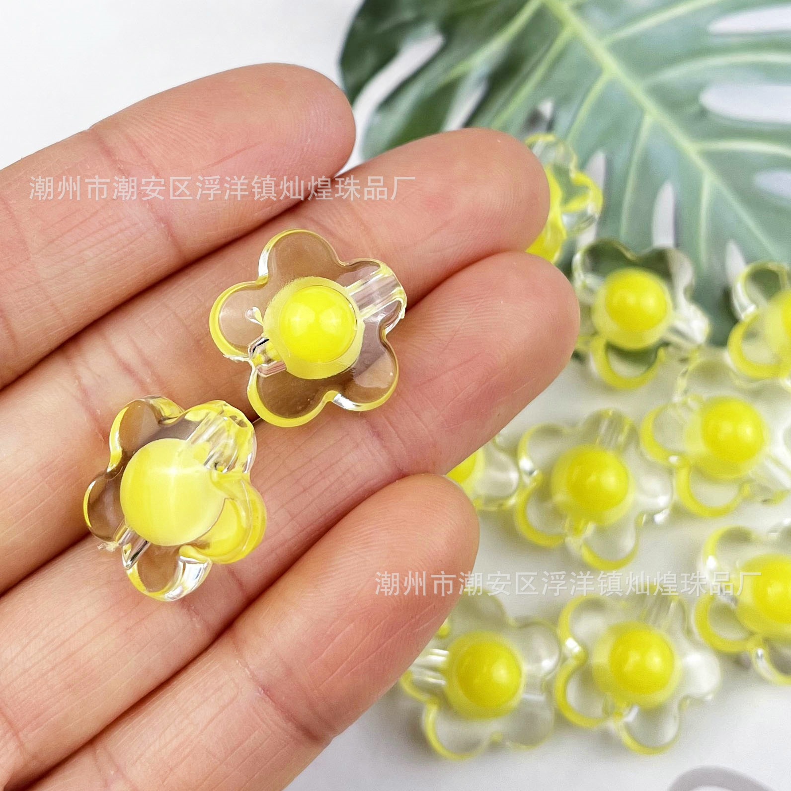 Pearl in Pearl, Big Plum Blossom Yellow
