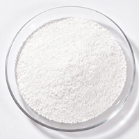 Polvo de Cáscara Calcinada de Alta Blancura, Relleno Funcional para Pintura, Recubrimientos, Industria del Plástico y del Caucho