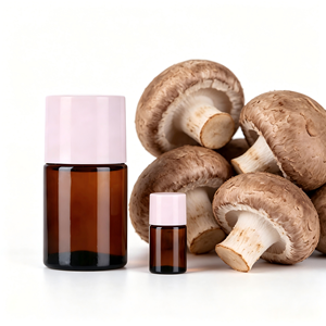 Échantillon Gratuit Fournisseur Fabricant Arôme Champignon Shiitake Liquide en Poudre Huile Soluble dans l'Eau Essence Alimentaire OEM - Product Image 1