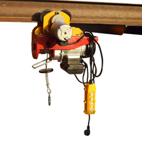 Petite grue micro pour le levage domestique, treuil télécommandé, treuil de traction, climatisation, treuil électrique portable