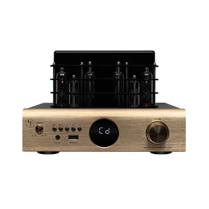 Powerful Stereo HIFI Integrated Home Amplifier with Digital Audio Vacuum Tube Features Remote Control