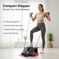 Mini stepper compact en acier BNcompany pour entraînement cardio à domicile avec bandes de résistance – Vente en gros