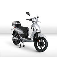 Moto électrique de course FST 800W, batterie au plomb-acide 48V 20AH, certificat EEC COC CE, vitesse maximale 40 km/h
