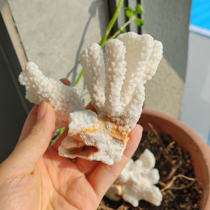 Factory Wholesale Price Promotion High Grade Coral Stone Flower Carving DIY Healing <b>Crystal</b> <b>Ornament</b> Feng Shui Gift - Product Image 3