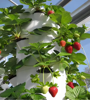 Système de culture vertical aéroponique et hydroponique, tour de culture, pompe automatique, système de jardinage intérieur sur pied, jardinage intelligent pour la maison, culture de légumes