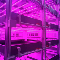 Couvercle de barre de lentille de diffuseur de LED en polycarbonate transparent moderne Laiendi Factory Direct léger facile d'installation 3 ans