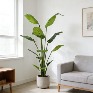 Árbol de Plátano Artificial Premium de 165 cm, Decoración Moderna para Esquina de Oficina u Hogar, Palmeras de Viajero Artificiales Realistas - Product Image 1