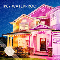 Twinklight 24V RGB Exterior Impermeable Medusa Luz de Punto LED de Paisaje Clasificación IP67 para Decoraciones Navideñas Regulable