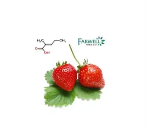 Farwell 향기로운 2-메틸-2 펜테노 산 음식 맛