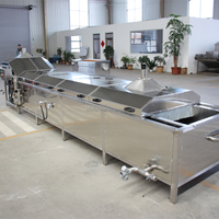 Industriële Automatische Fruitgroente Banaan Patat Chips Stoomblancheermachine
