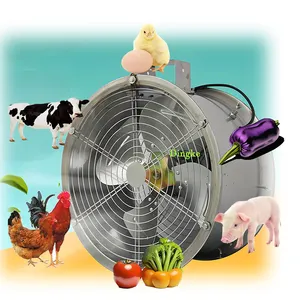 20 inch strong suction cross flow greenhouse air circulation industrial exhaust warehouse ventilation fan wall 220 / 380 v