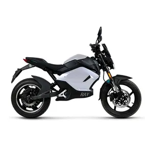 China Factory Powerful Safe Reliable Long Range 3000 Watt Adult Electric Motorcycle