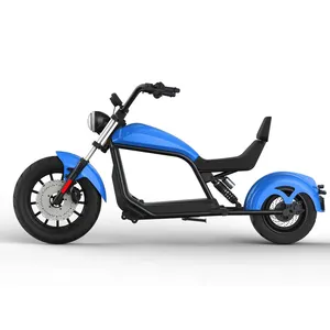成人定制品牌HL6.0电动摩托车踏板车自行车