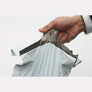 Sac de coursier Polly Pike 50x70 cm, emballage logistique épaissi, sac de livraison express blanc, capacité de charge de 10 kg - Product Image 1
