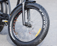 Vélo tandem le plus populaire E Bike Fat Tire 500W Moto électrique Citycoco Scooters électriques