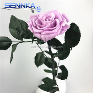 <span class=keywords><strong>Bouquet</strong></span> de fleurs conservées à longue tige pour importateurs de fleurs de Dubaï - Product Image 3