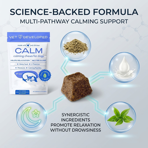 Friandises apaisantes pour animaux <span class=keywords><strong>de</strong></span> compagnie, friandises <span class=keywords><strong>à</strong></span> mâcher molles, soulagement <span class=keywords><strong>de</strong></span> <span class=keywords><strong>l</strong></span>'anxiété, probiotiques, santé intestinale, enzymes digestives, huile <span class=keywords><strong>de</strong></span> saumon sauvage d'Alaska, compléments alimentaires pour la peau, chien - Product Image 3