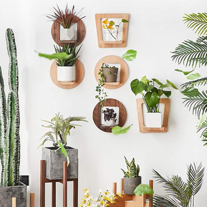 Support <span class=keywords><strong>pour</strong></span> plante <span class=keywords><strong>d</strong></span>'<span class=keywords><strong>intérieur</strong></span> Cintre <span class=keywords><strong>pour</strong></span> plante en bois <span class=keywords><strong>Étagère</strong></span> flottante <span class=keywords><strong>Étagère</strong></span> murale rustique - Product Image 4