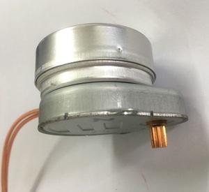 TH-204-SG tiếng ồn thấp động cơ đồng bộ 48 Volt <span class=keywords><strong>6KW</strong></span> động cơ 7 Wát bánh chiều cao 8 mét tốc độ thấp 3-4 vòng/phút - Product Image 2