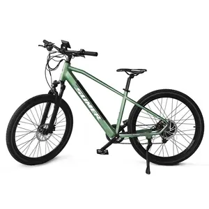 Bici elettrica elettrica Unisex Mountain Bike 36V 350W a buon mercato per la vendita