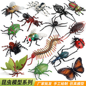 Modelos de Insectos Realistas para Niños, Abeja, Araña, Libélula, Mariposa, Centipeda, Caballito de Campo, Hormiga, Mantis, Decoración Educativa para Escritorio - Product Image 5