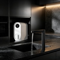 Purificateur d'eau à hydrogène certifié sous évier, osmose inverse RO 5 étapes, PEM SPE 600G, sans réservoir, robinet intelligent, pour cuisine, fabricant
