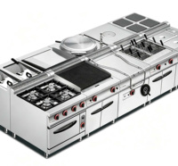 Équipement de cuisine professionnel en acier inoxydable pour restaurant, gaz et électrique, certifié CE, garantie 2 ans, sur pied ou sur table, pour hôtel